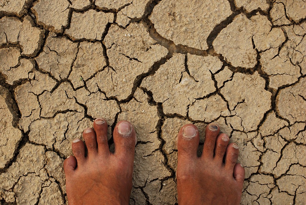 dry cracked soil drought