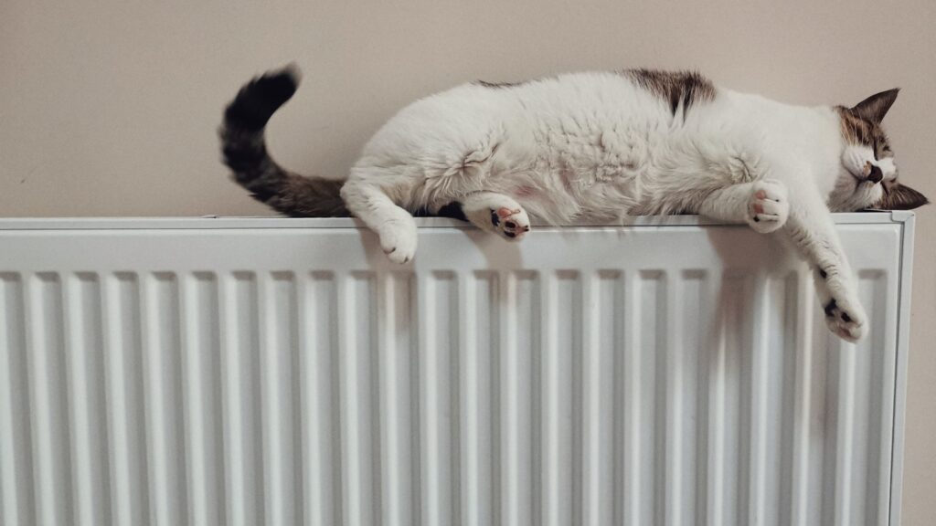 Radiateur électrique à inertie fixé au mur d'un salon