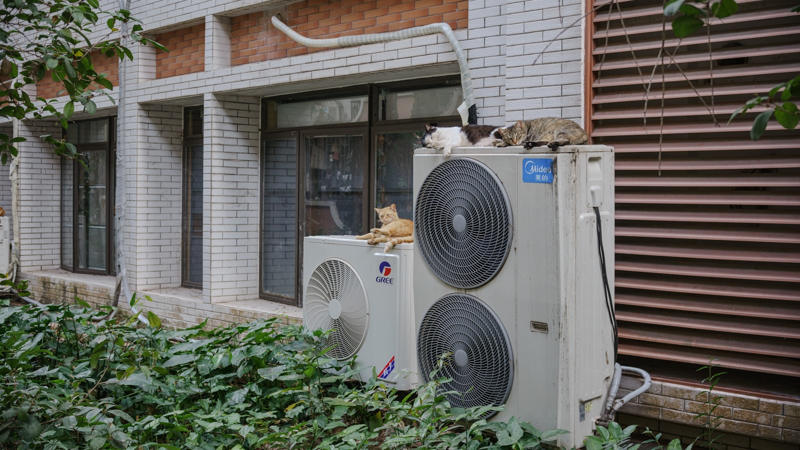 Plusieurs unités intérieures d'un multisplit air-air