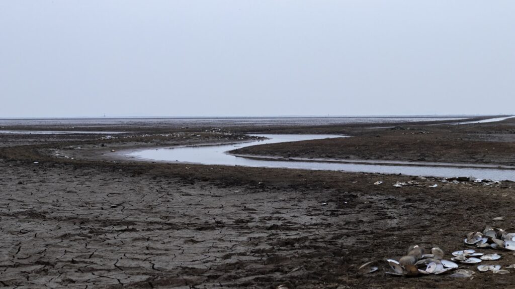 Lit de rivière presque à sec dans la campagne française pendant la sécheresse estivale