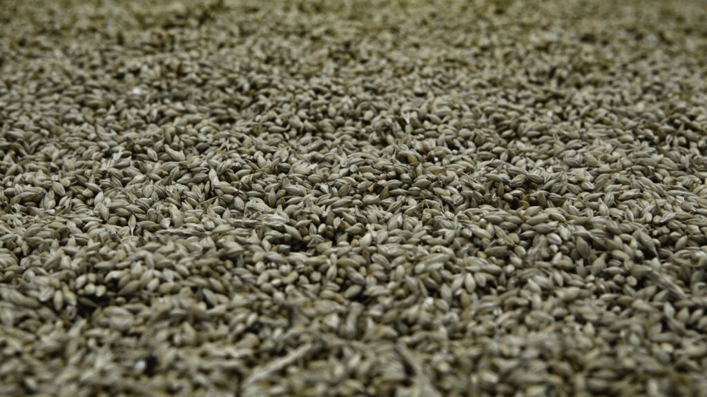 Granules de bois en vrac destines a l'alimentation d'une chaudiere